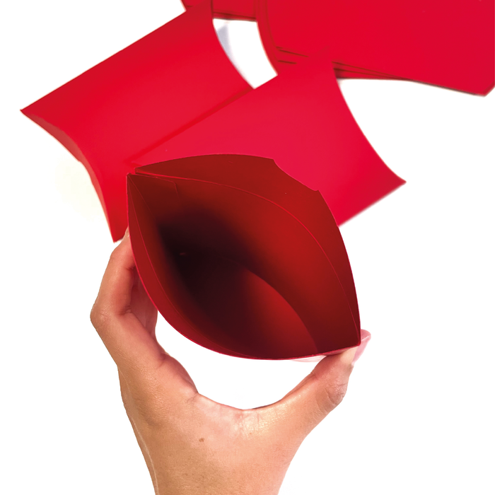 KIT 7 Almohadas Rojas + Listón