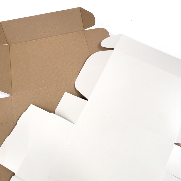 Kit Hueso Caja Grande Cartulina + Cartón