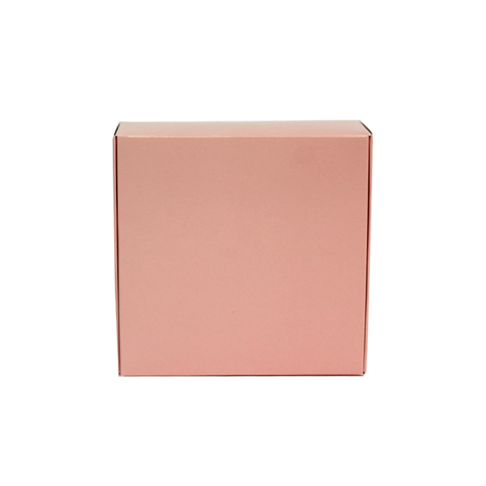 Caja chica rosa-mint pages